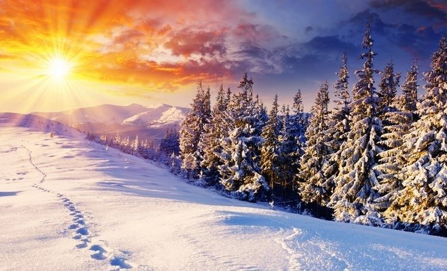 На украинцев ожидает солнечная погода: синоптики дали прогноз на ближайшие дни