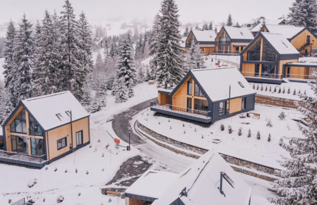 Сдавала в аренду несуществующие дома и коттеджи в Карпатах: мошенники объявили о подозрении