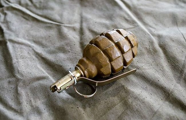 Мужчина, который взорвал гранату в столичном парке Киото, предстал перед судом