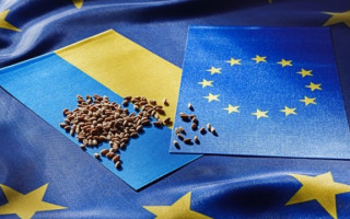 Еврокомиссия предлагает продлить «экономический безвиз» Украины с ЕС до 2025 года