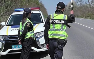 Непред'явлення поліцейському документів на право керування не може вважатись злісною непокорою