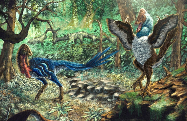 В США студент случайно открыл новый вид динозавров, когда делал учебный проект