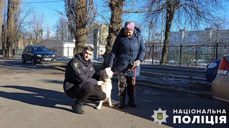В Киеве вернули владелице лабрадора, который пропал возле магазина