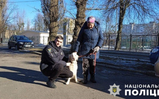 У Києві повернули власниці лабрадора, який зник біля магазину