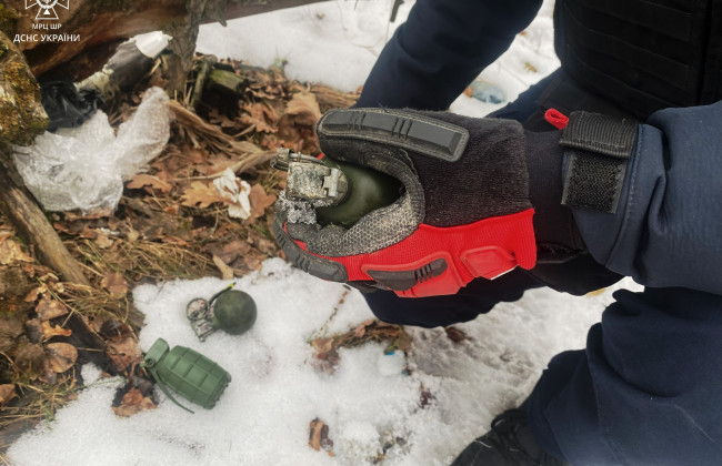 На Киевщине в лесу нашли три ручные гранаты, фото