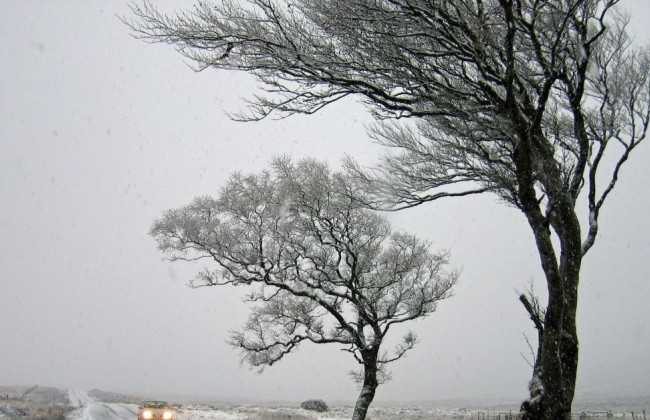 В Киеве и области объявили штормовое предупреждение