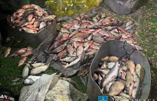 Наловили рыбы почти на 5 миллионов гривен: будут судить браконьеров