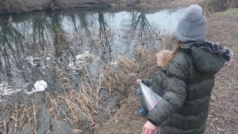 В Одесской области фиксируют случаи гибели лебедей