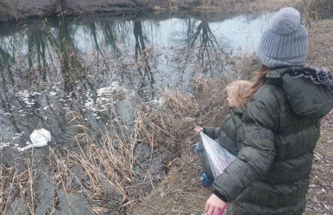 В Одесской области фиксируют случаи гибели лебедей