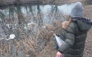 На Одещині фіксують випадки загибелі лебедів