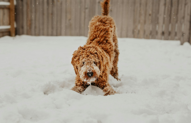 В Киеве ночью и утром 10 февраля ожидается на дорогах гололедица
