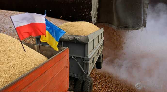 Польша планирует ввести проверки украинского зерна на границе