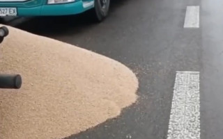 Польские протестующие высыпали зерно из украинских грузовиков: Украина требует расследования