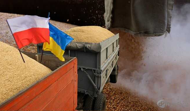 Польша планирует ввести проверки украинского зерна на границе