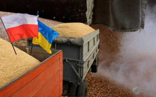 Польща планує ввести перевірки українського зерна на кордоні
