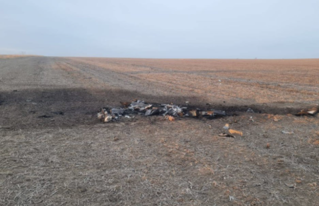 Президент та уряд Молдови відреагували на падіння уламків бойового дрона біля кордону з Україною