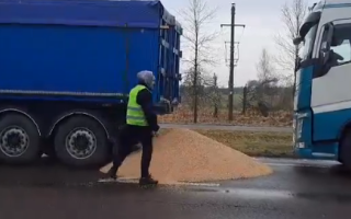 В Польше прокуратура открыла дело из-за инцидента с рассыпанным зерном на границе