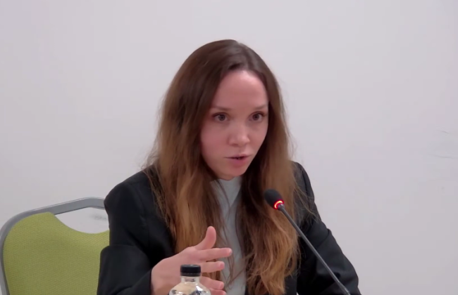 До кандидатки на голову НАЗК Катерини Каплюк виникли питання щодо роботи під керівництвом екс-прокурора ГПУ Олександра Амплєєва