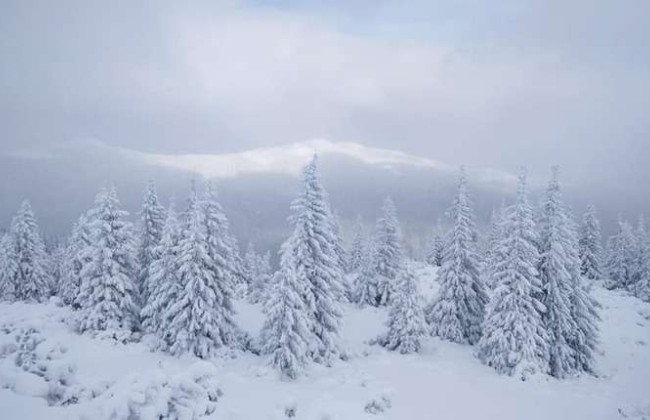 В Румынии задержали группу уклонистов из Украины, однако выжить при пересечении границы в горах удалось не всем