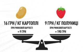 Закупівлі продуктів Міноборони за завищеними цінами: як працюють схеми — інфографіка