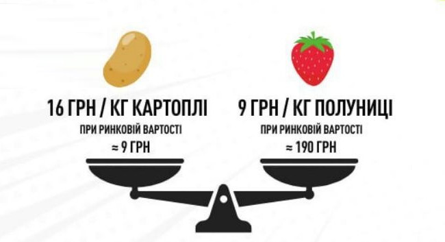 Закупки продуктов Минобороны по завышенным ценам: как работают схемы — инфографика