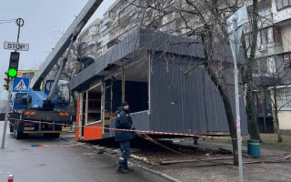 У Києві під МАФом, який мали демонтувати, виявили місце зимівлі їжаків