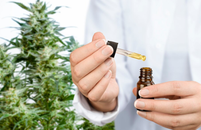 Владимир Зеленский подписал закон о легализации медицинского каннабиса