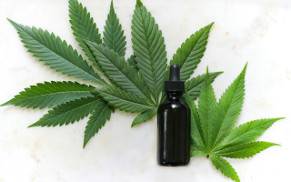 Закон щодо обігу медичного канабісу в Україні буде введений в дію через пів року