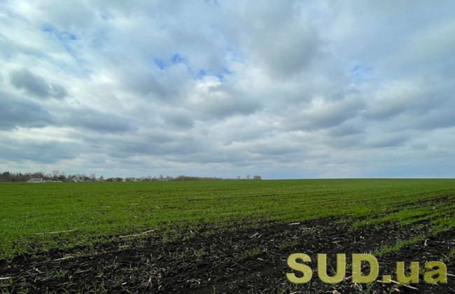 Как заполнить налоговую декларацию по плате за землю: видеоинструкция