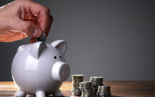 Какие есть виды добровольной уплаты страховых взносов на государственное пенсионное страхование: разъяснение