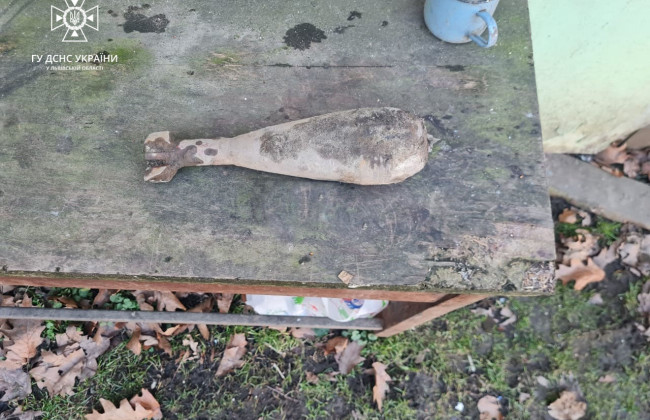 На Львовщине ребенок нашел боеприпас во время прогулки по парку