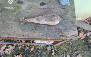 На Львовщине ребенок нашел боеприпас во время прогулки по парку