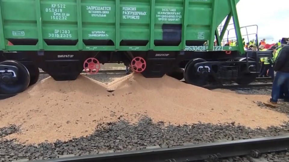 Польские фермеры высыпали из вагонов украинское зерно, видео