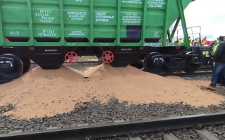 Польські фермери висипали з вагонів українське зерно, відео