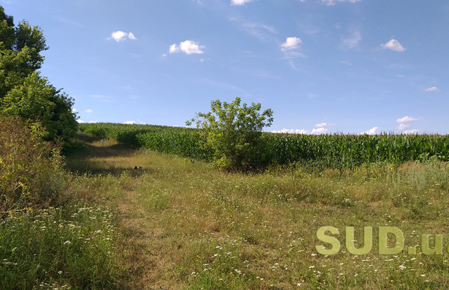 Наследование имущества колхозного двора: истцы не подтвердили факт наличия у них права собственности или права пользования на спорный земельный участок