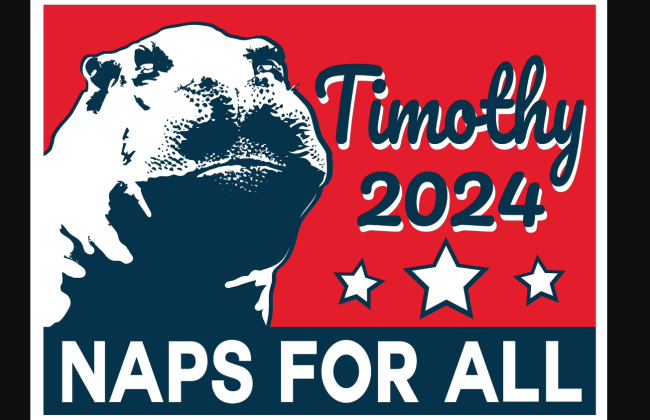 В США кандидатом в президенты выдвинули бегемота Тимоти