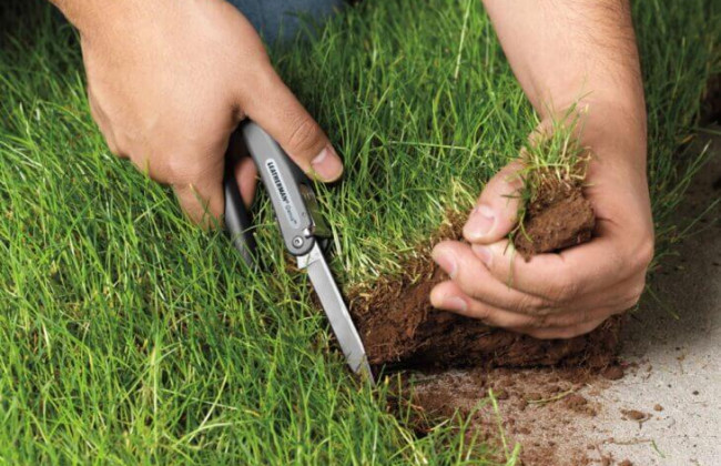 Из собственности общины выбыли земли стоимостью более 850 тысяч: будут судить мэра с Тернопольщины