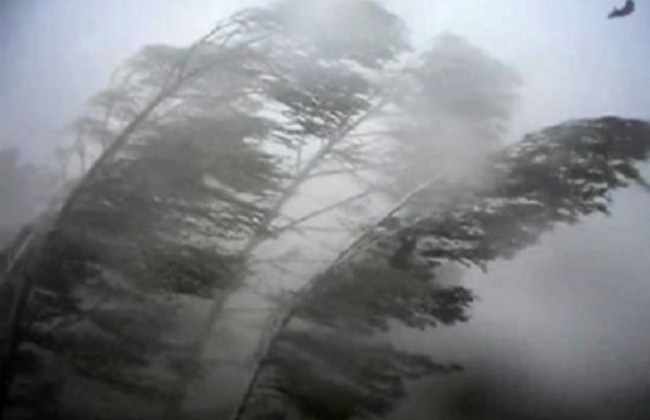 В пяти областях Украины объявлено штормовое предупреждение