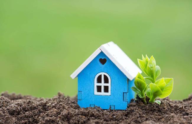 Земельні ділянки перебувають у власності малолітніх та неповнолітніх дітей: хто сплачує земельний податок