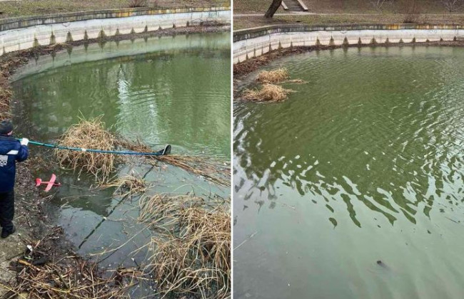 В одном из озер Киева обнаружили частичный мор рыбы