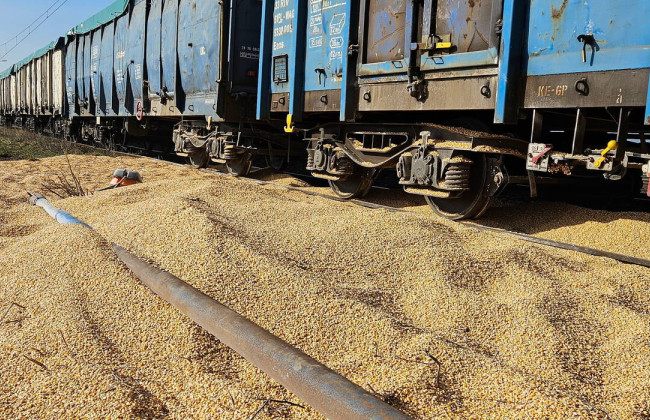 В Польше неизвестные высыпали около 180 тонн украинского зерна, 30 из которых придется утилизировать