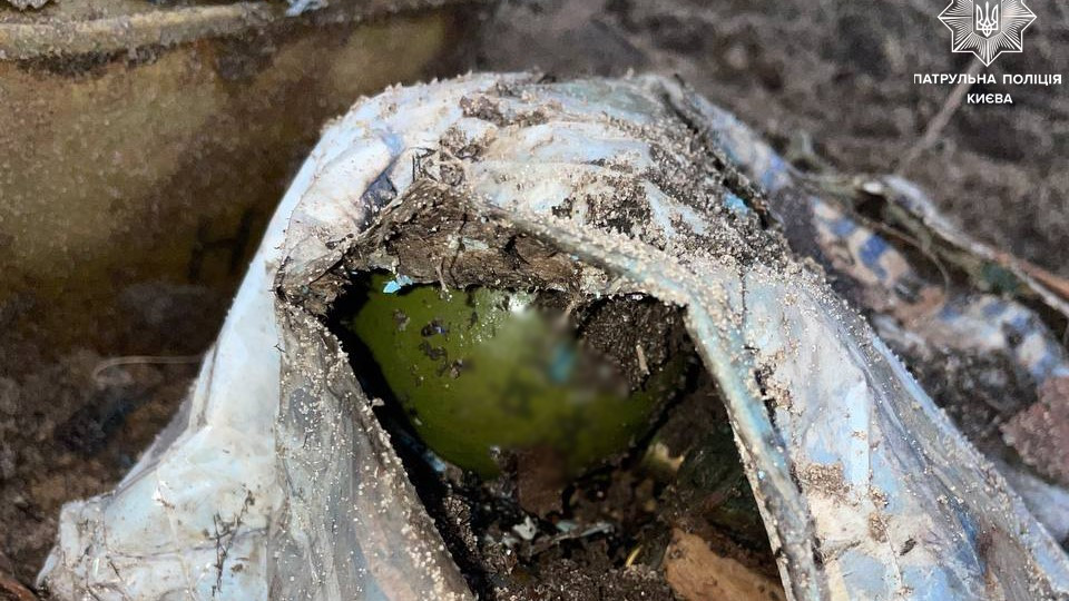 В Киеве супруги нашли в лесу боеприпасы – фото
