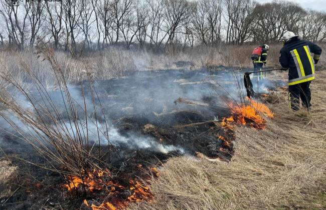 Не успел с земли сойти снег, как уже горит сухостой – в ГСЧС напомнили о штрафах