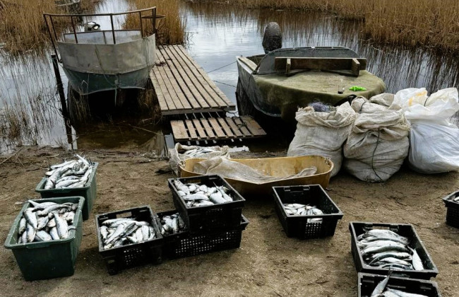 В Одесской области браконьеры выловили рыбу почти на 3 млн гривен
