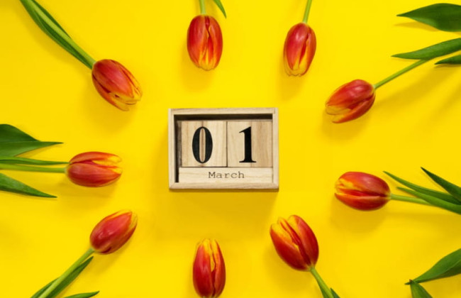 Какой праздник 1 марта: все об этом дне