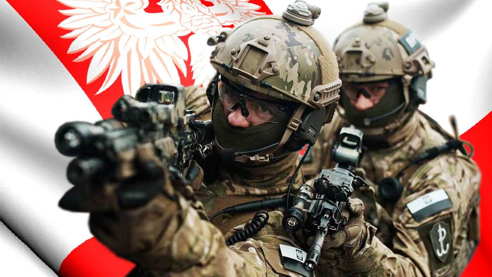 Польша отказалась от отправки войск в Украину, однако имеет альтернативу