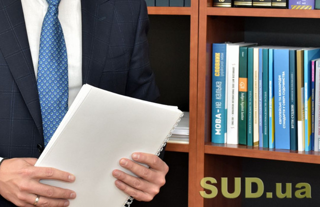 Кто освобождается от обязанности представления налоговой декларации: разъяснение