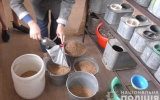 Продавал первоклассное зерно как неликвидное: будут судить экс-руководителя госпредприятия