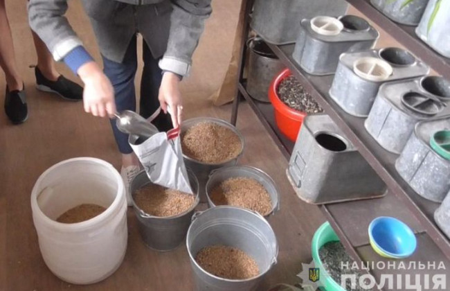 Продавал первоклассное зерно как неликвидное: будут судить экс-руководителя госпредприятия