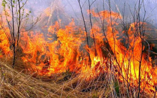 В Винницкой области в результате сжигания сухой травы погиб мужчина